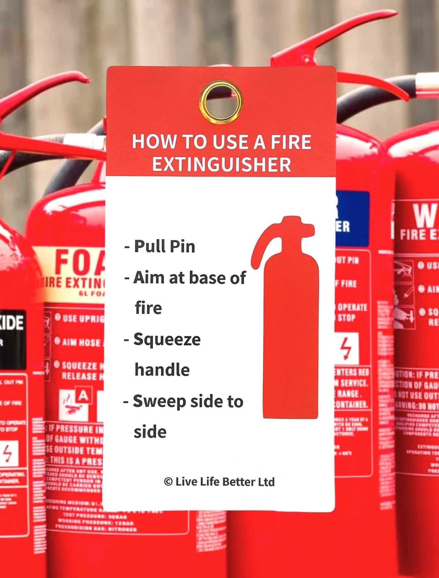 LIVELIFEBETTER® Fire Extinguisher Inspection Tags - Set of Tags and Cable Ties