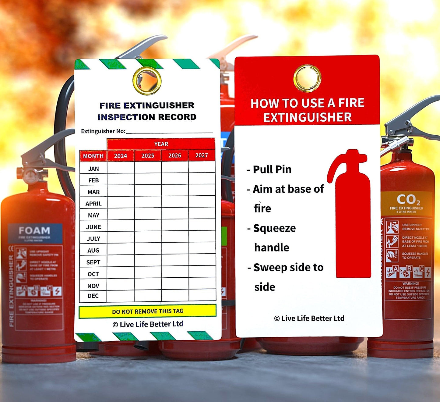 LIVELIFEBETTER® Fire Extinguisher Inspection Tags - Set of Tags and Cable Ties